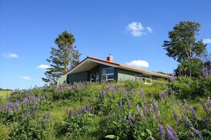 A house with a sloped roof, surrounded by a field of purple flowers, under a clear blue sky. - Marina Hülsen - Skipper Lodge East (Kosel)