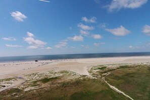 A coastal landscape with a beach, grassy areas, and a clear sky. - Utholm 10 - Black-headed Gull (St. Peter-Ording)