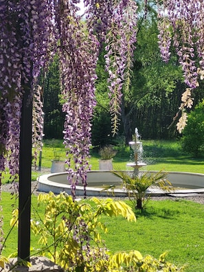 A garden with a fountain, lush greenery, and hanging purple flowers.