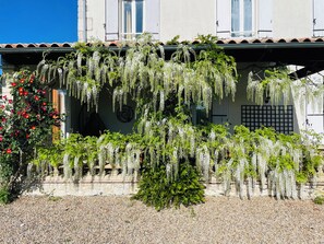 A building with a tiled roof, a gravel ground, and hanging plants.