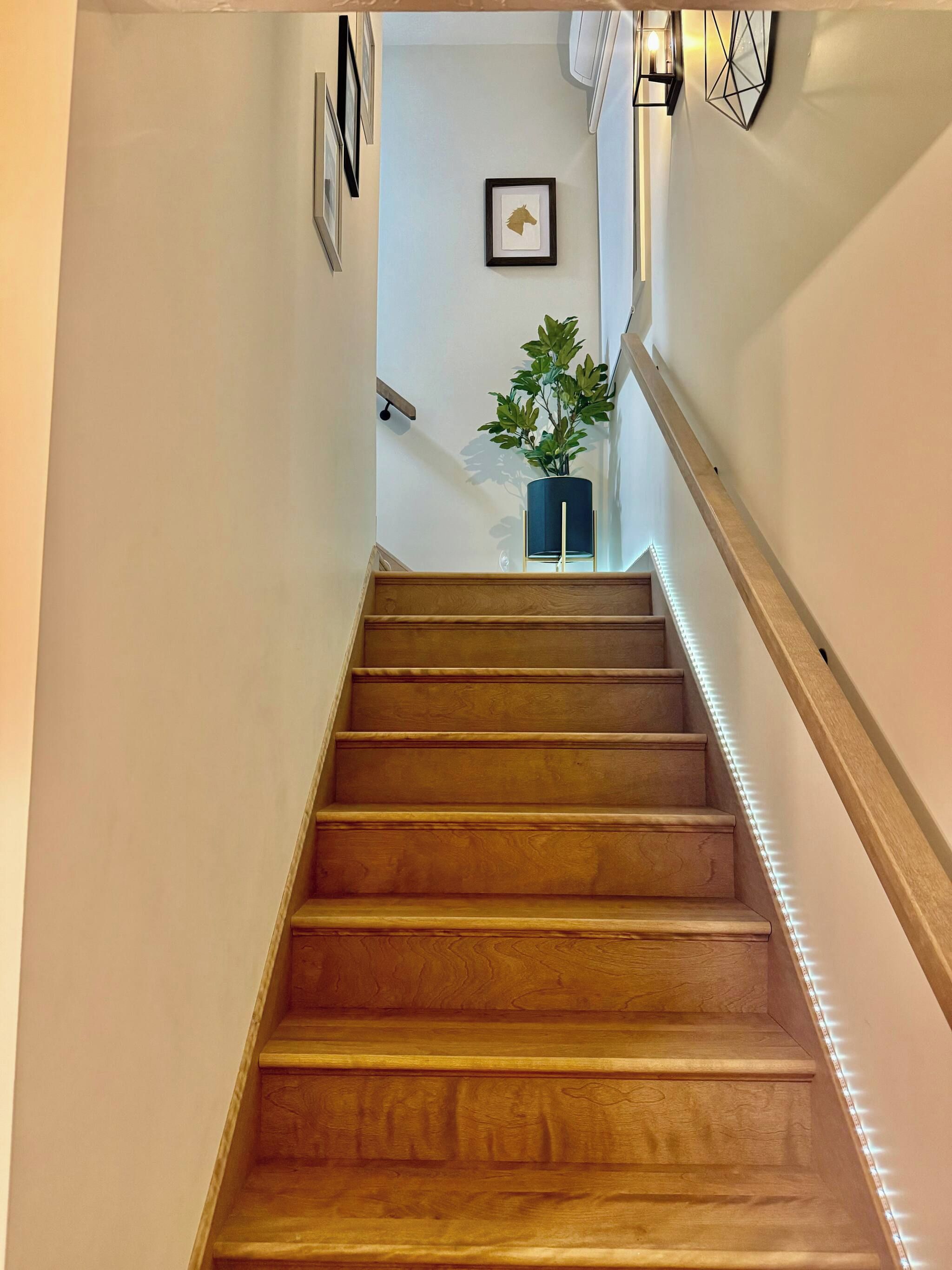 Uma escada de madeira com corrimão, um quadro na parede e um vaso de planta no topo.
