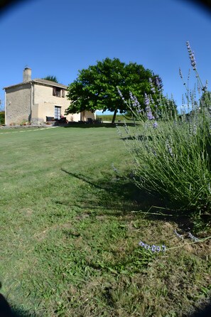 A house with a stone facade, a lawn, and a tree with purple flowers. - Le Grand, charming house with Wi-Fi for 6 guests (Auriolles)