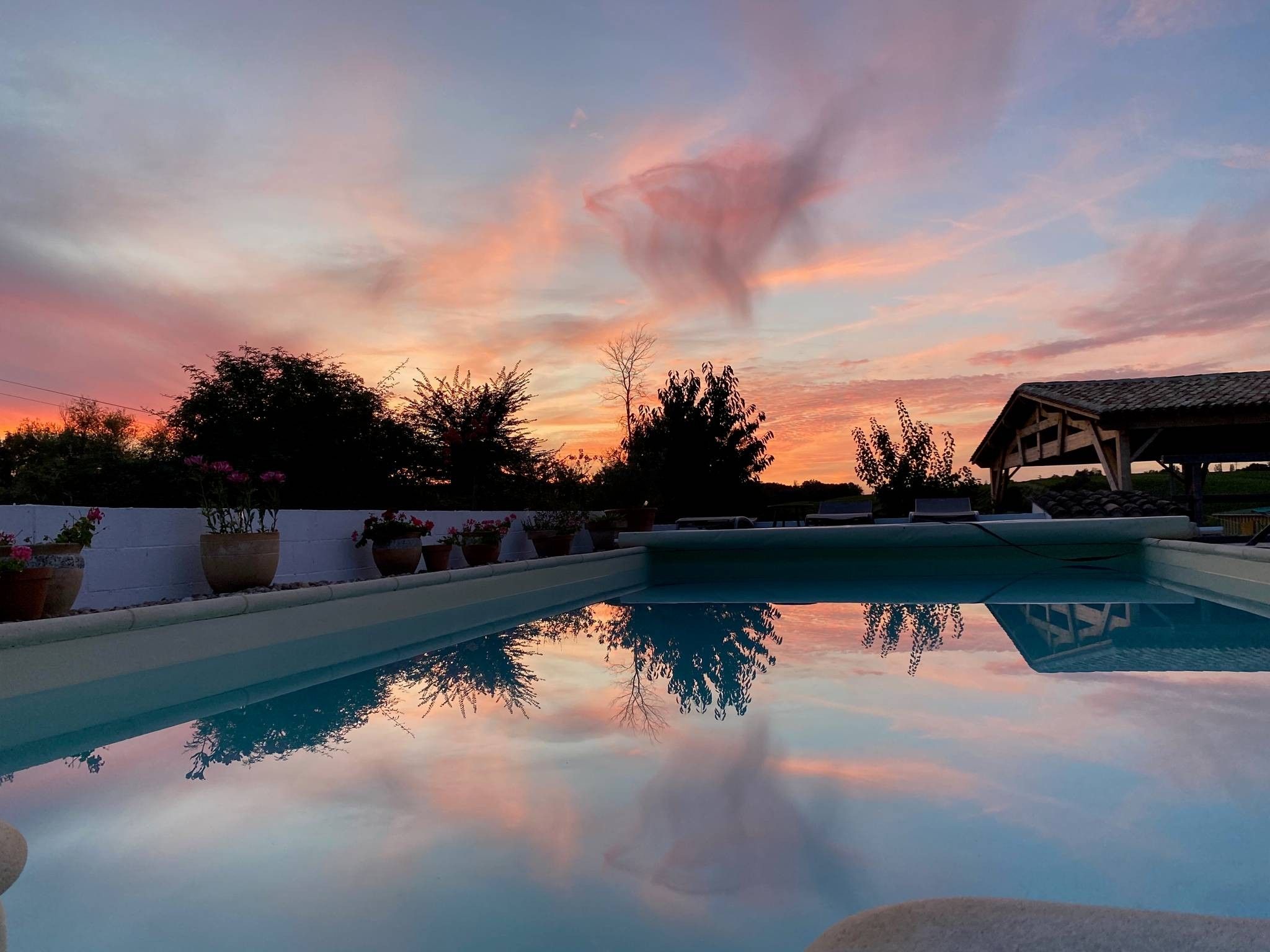 A swimming pool with a clear reflection of trees and a sunset sky.