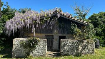 En rustik bygning med et trætag, omgivet af frodig vegetation og lilla wisteria-ranker.