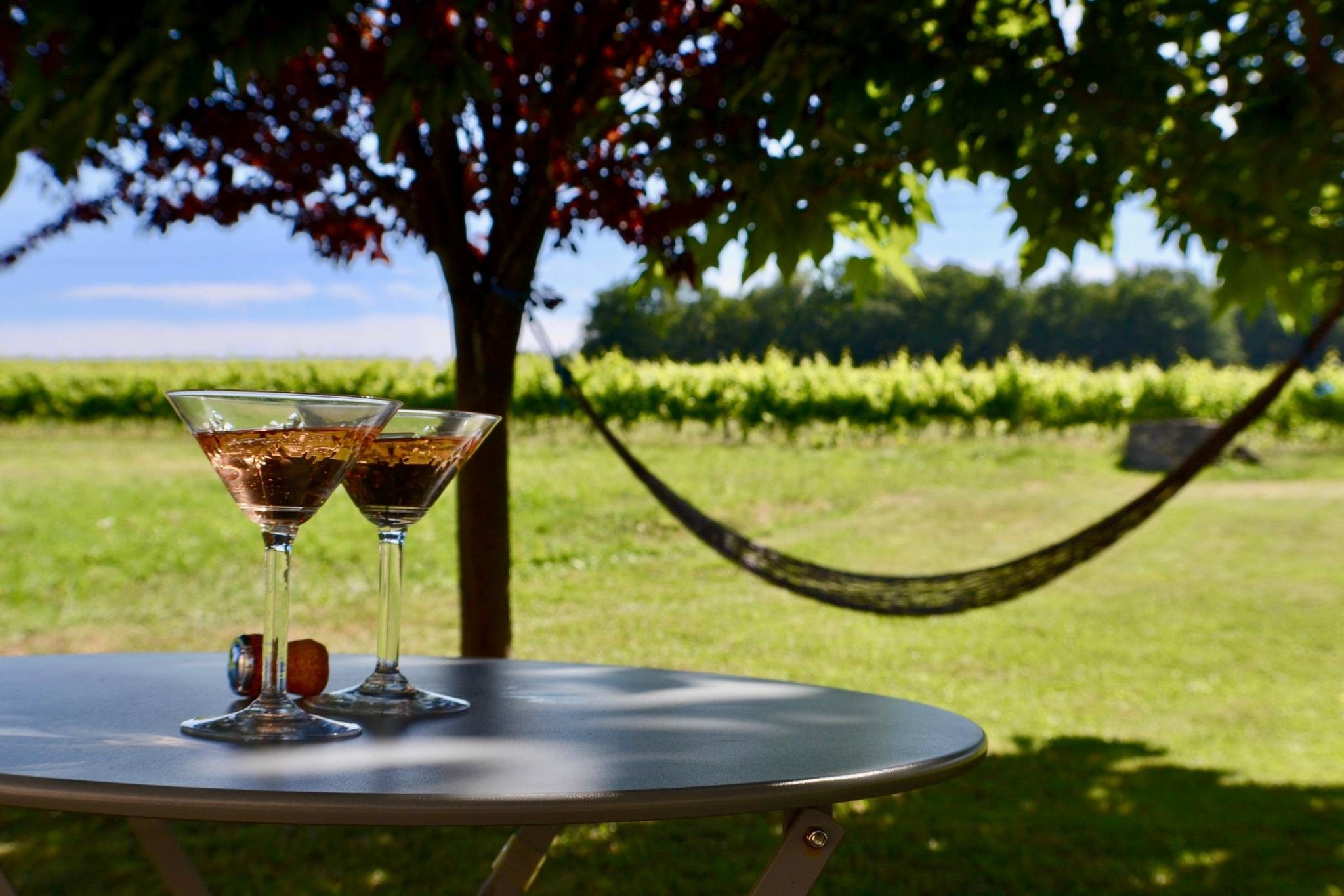 Zwei Gläser mit einem dunklen Getränk auf einem Tisch im Freien, im Hintergrund ein Baum und ein Weinberg.
