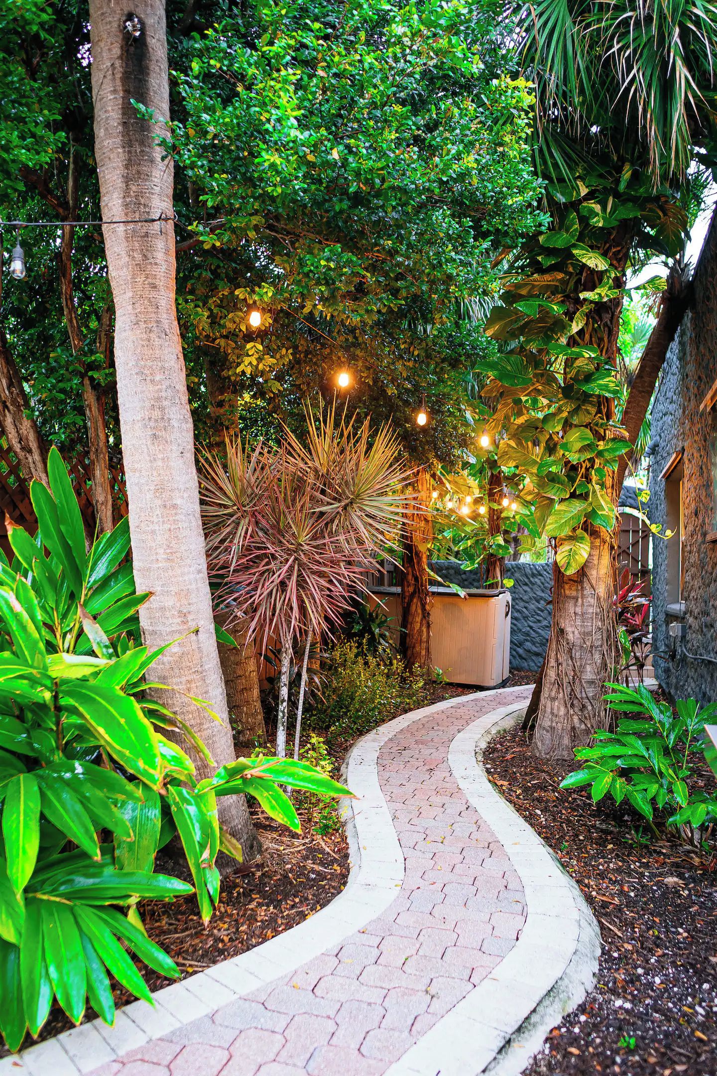 Un chemin de jardin bordé de briques, entouré de différentes plantes et arbres.