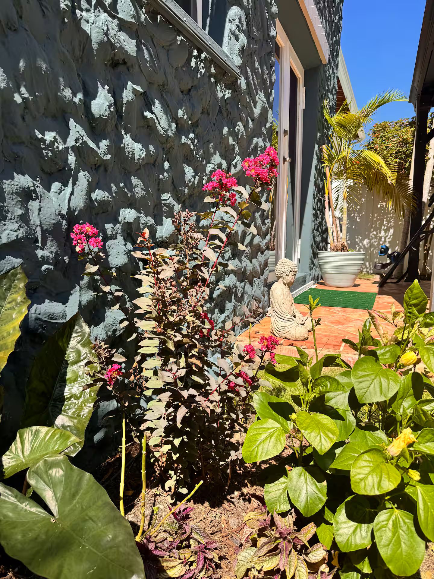 A garden with a variety of plants and a statue.
