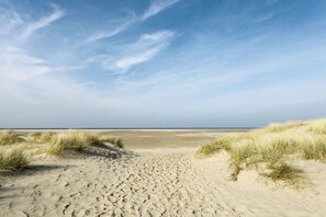 A sandy beach with dunes and a clear sky. - Holiday apartment with 1 bedroom (Borkum)