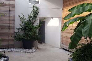 A courtyard with a potted plant, a concrete pathway, and a wooden wall.