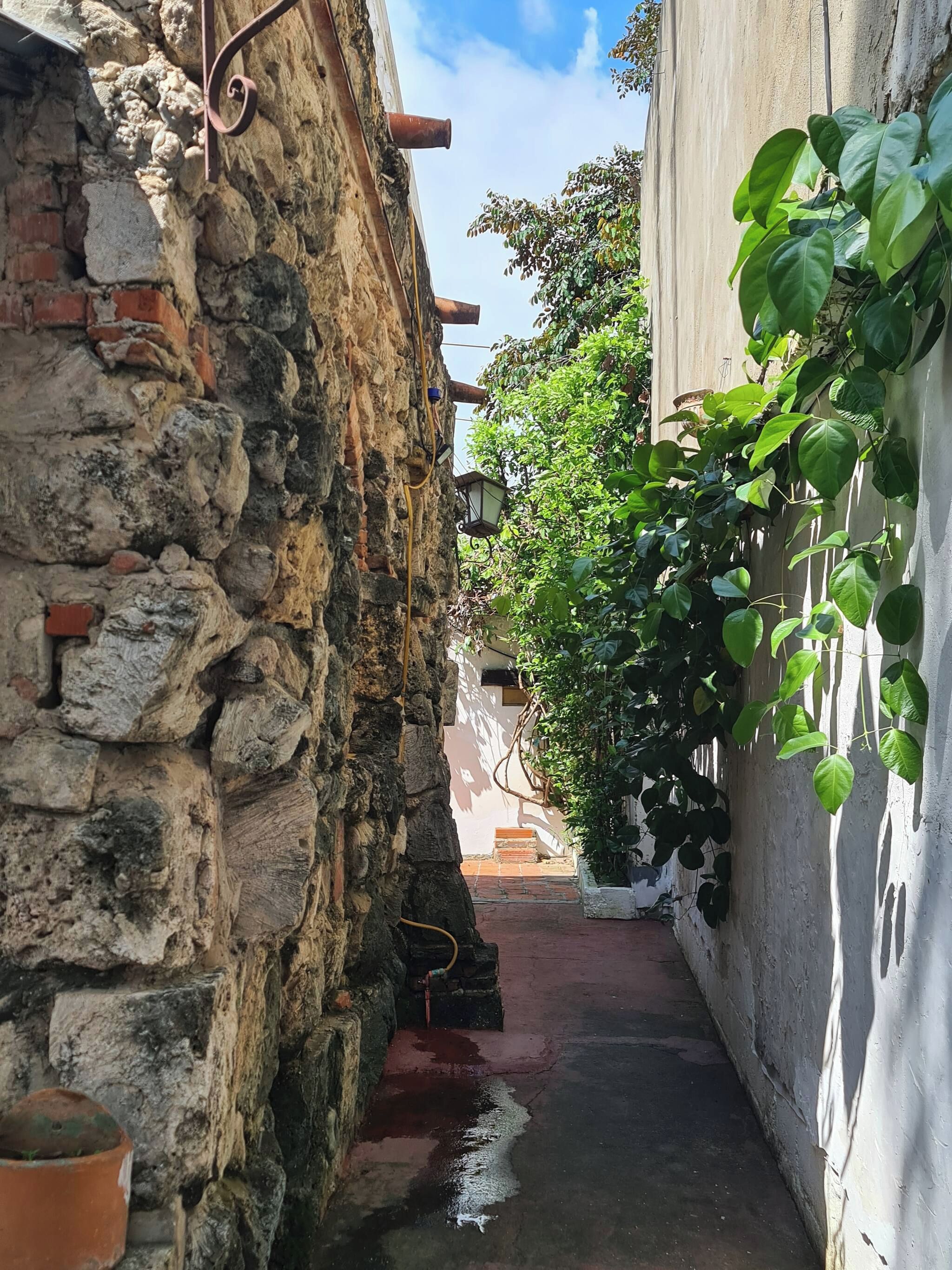 A narrow alleyway with a stone wall on one side and a white wall on the other, with a potted plant and a hanging lantern.