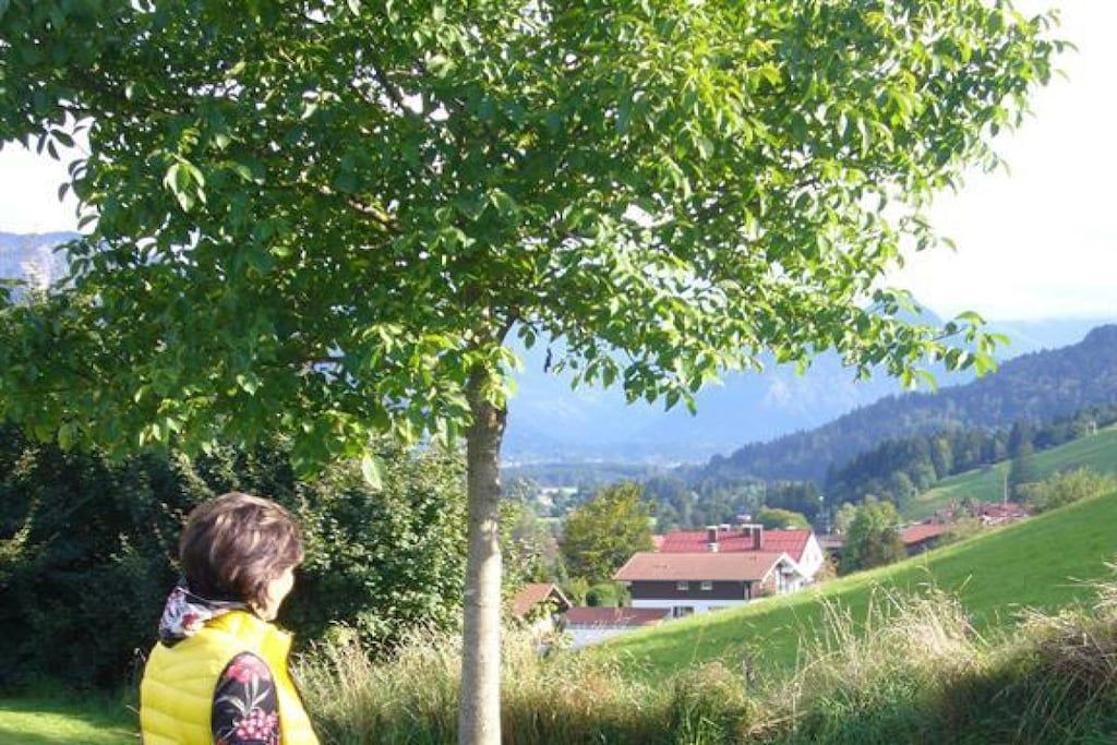 A person standing under a tree with a view of a rural landscape and houses in the distance.