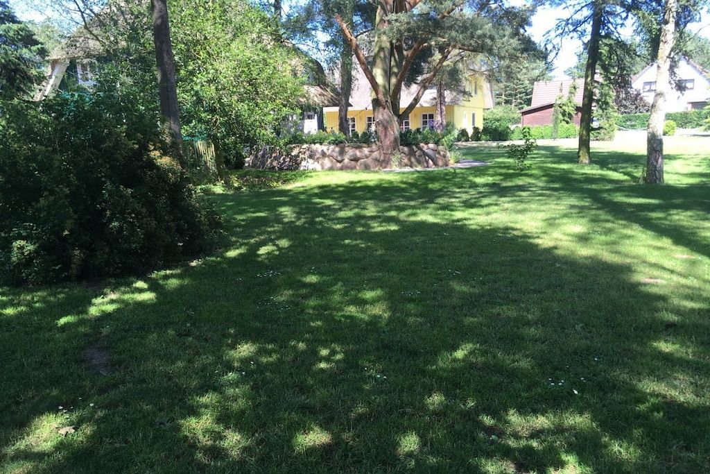 A well-maintained grassy area with a large tree and a yellow building in the background.