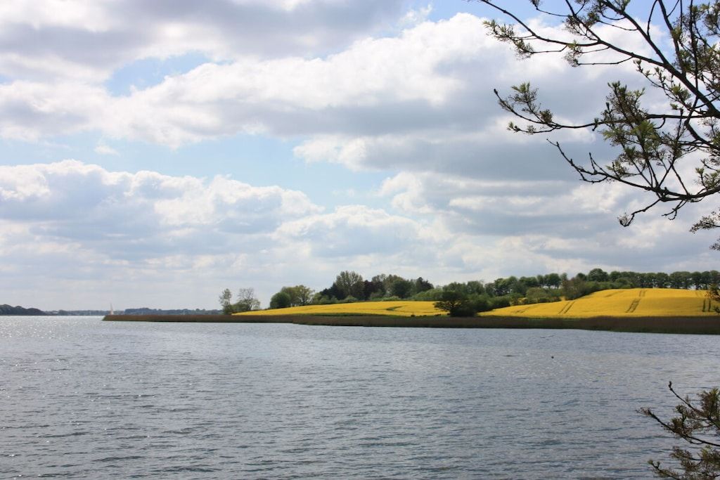 A body of water with a distant landmass, overcast sky, and a tree branch in the foreground.