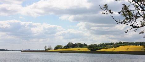 A body of water with a distant landmass, overcast sky, and a tree branch in the foreground.