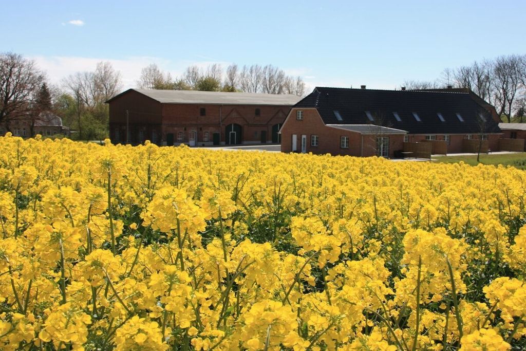A building with a large field of yellow flowers in front.