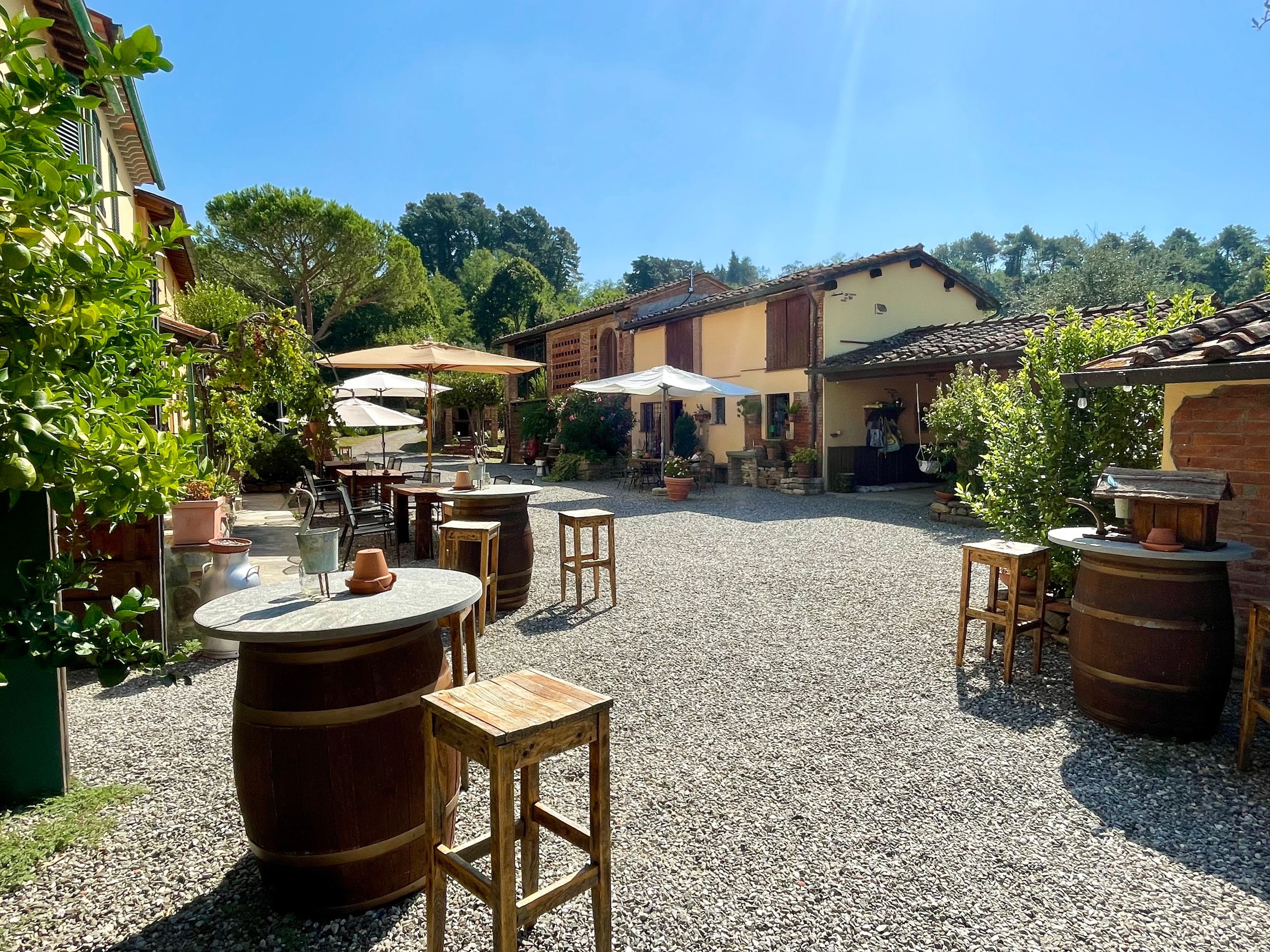 An outdoor patio area with tables and chairs, surrounded by potted plants and a rustic building in the background.
