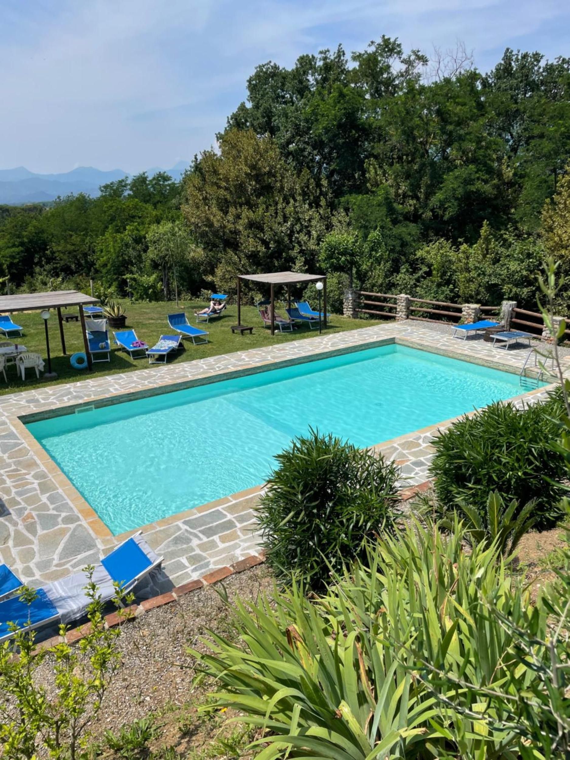 Et rektangulært swimmingpool med en stenkant, omgivet af liggestole og et pergola.