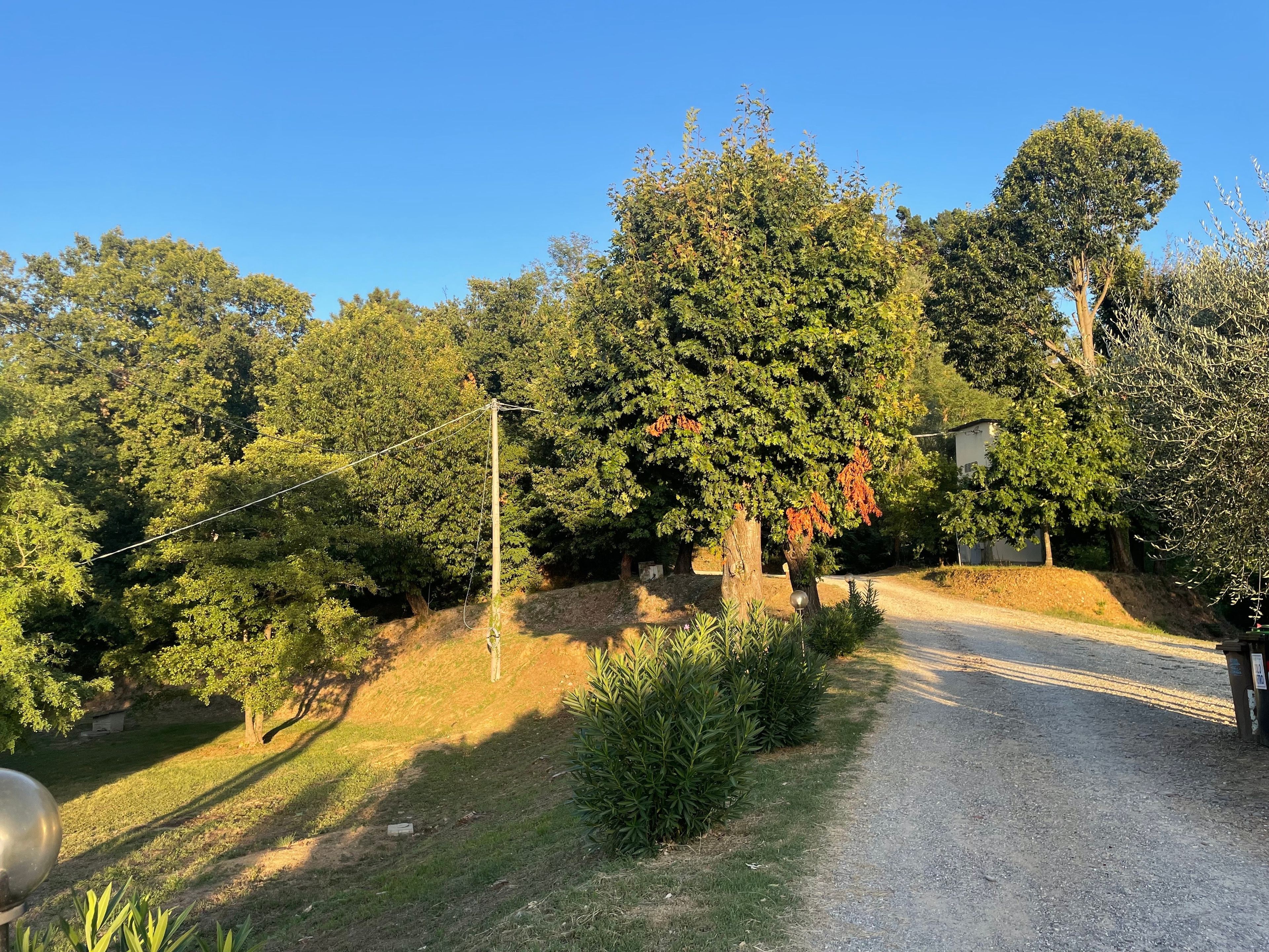 A gravel path leading through a wooded area with trees and a small building.