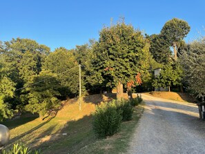 A gravel path leading through a wooded area with trees and a small building.