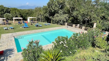 Ein Schwimmbecken mit Liegestühlen und einer Steinterrasse, umgeben von Grünflächen und einem Steinzaun.