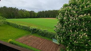 Een uitzicht op een groen veld, met een boom op de voorgrond en een bos in de verte.