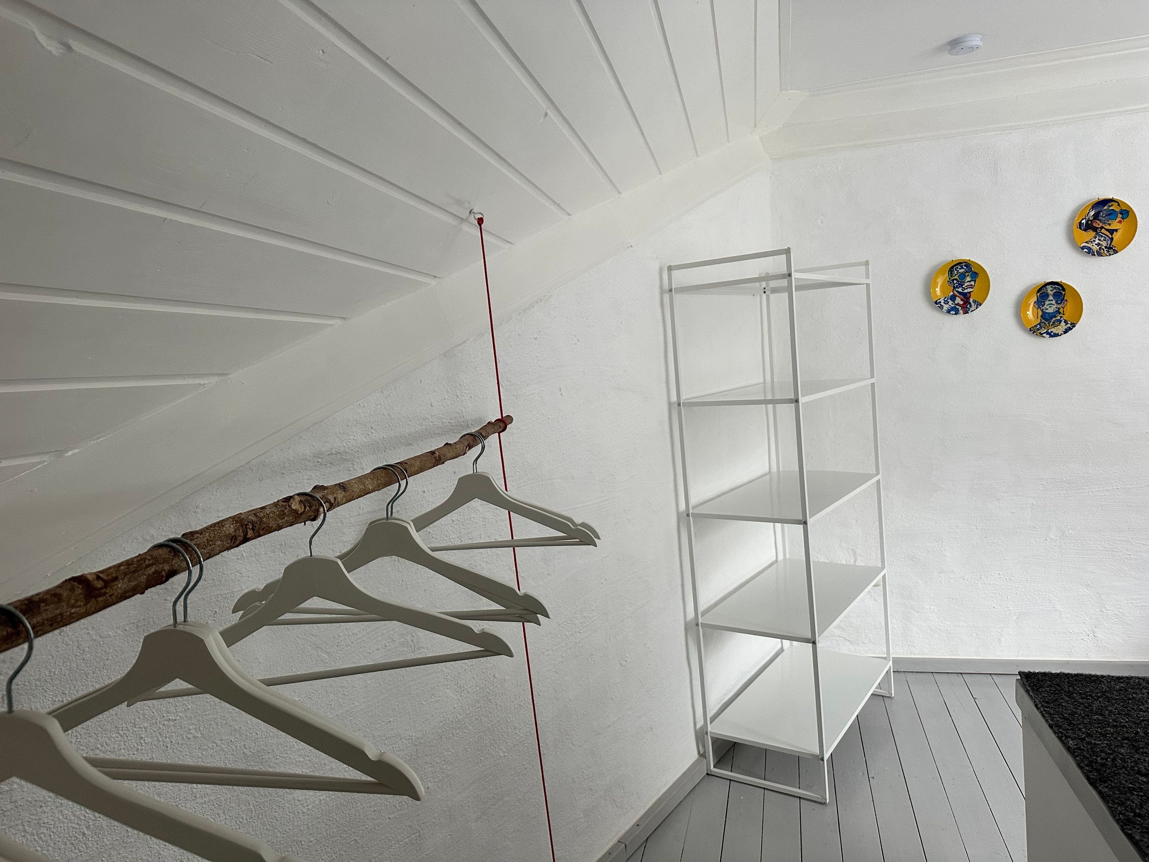 Habitación con pared blanca, suelo de madera y techo blanco. Se observa una rama con perchas y una estantería blanca adosada a la pared.
