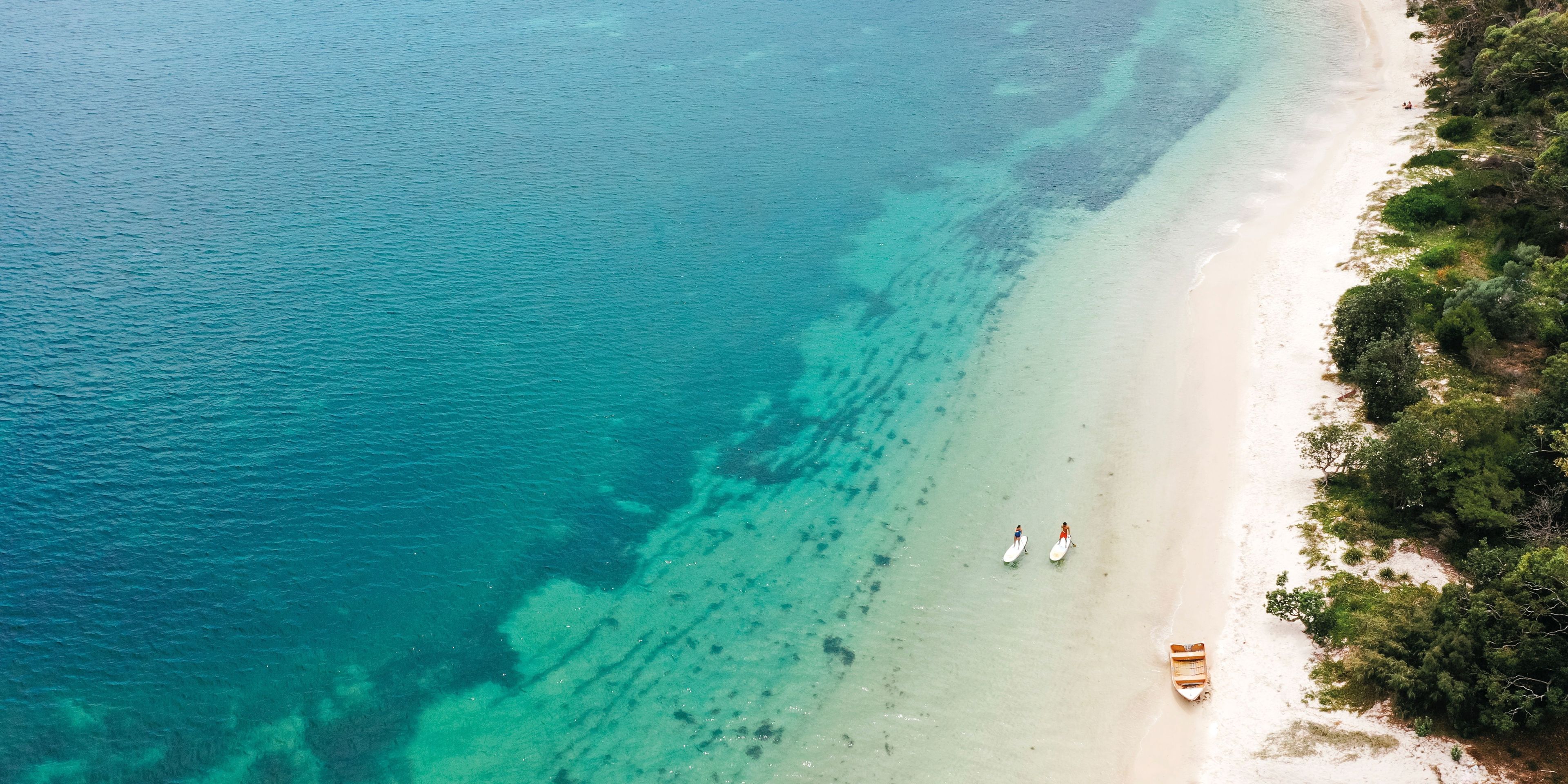Vista aérea de una playa con agua turquesa cristalina, una orilla arenosa y abundante vegetación.