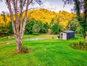 A grassy area with a small building, trees, and a forest in the background. - Glamping Pods at Tiffany's Estate | Hot Tub, Fire Pit, Pickleball, & Pond (Elk Park)