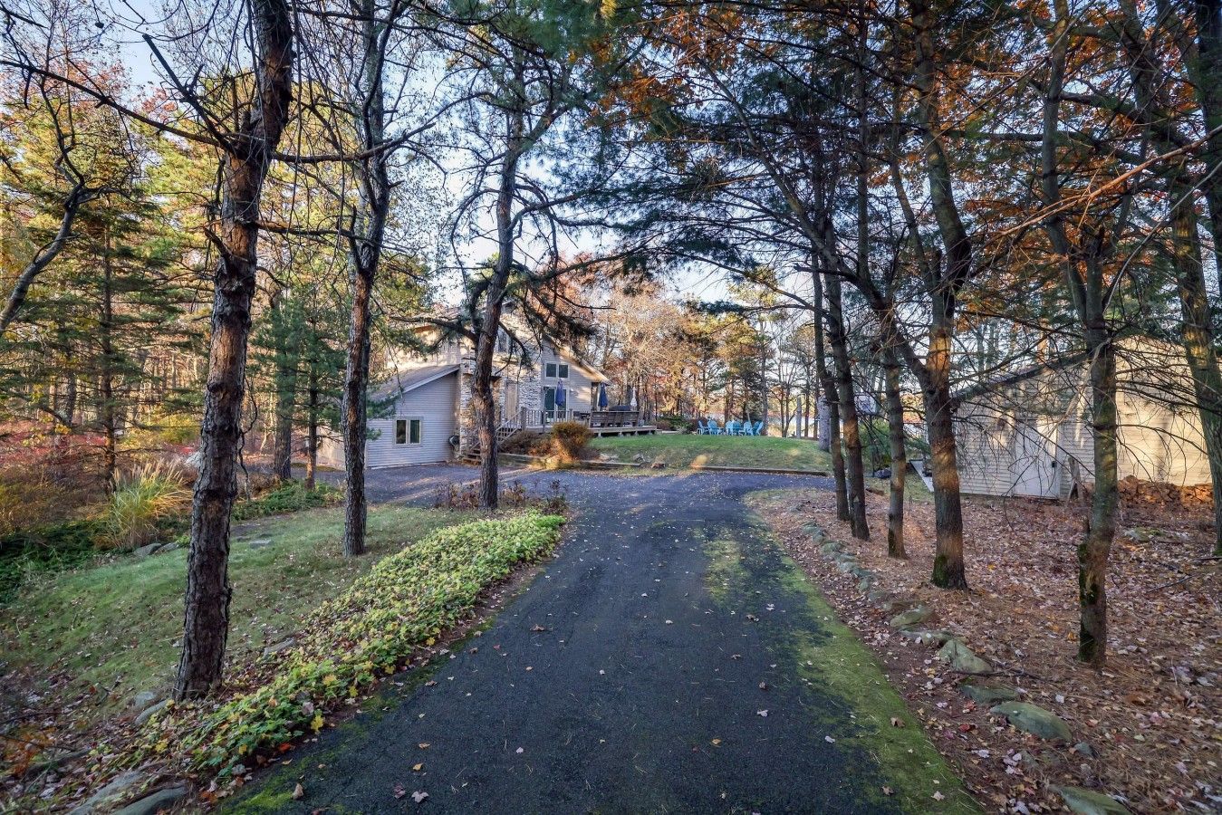 A residential area with a paved driveway leading to a house surrounded by trees.