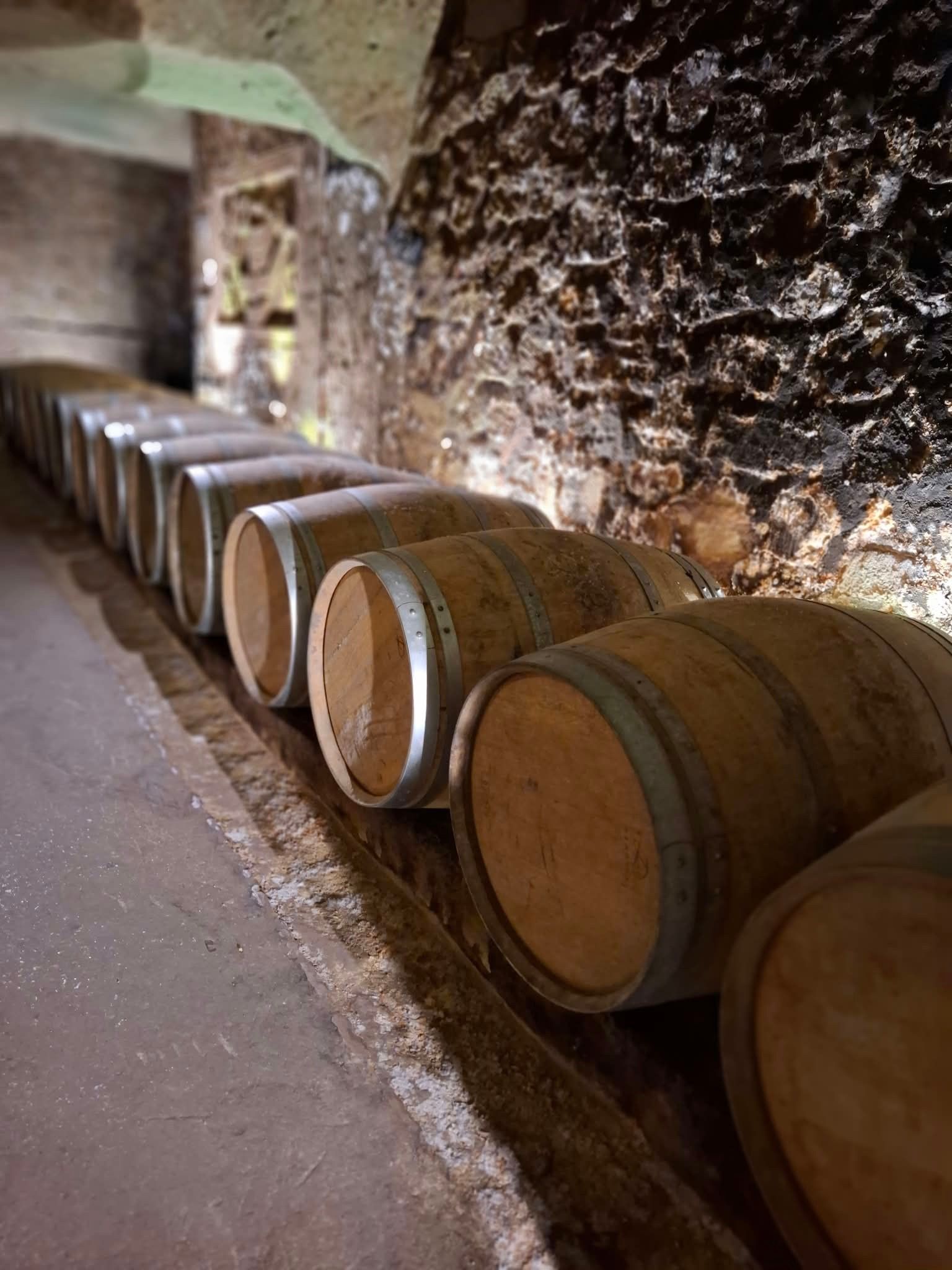 Wooden barrels lined up against a stone wall in a dimly lit cellar.