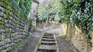 A stone staircase leading up a hill, surrounded by greenery and a stone wall.