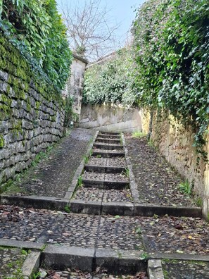 Un escalier en pierre menant au sommet d’une colline, entouré de verdure et bordé d’un mur de pierres.