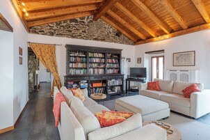 Ein gemütliches Wohnzimmer mit einer Steinwand, Holzbalkendecke, einer großen Bücherwand, einem Fernseher und einer Couch mit Kissen.