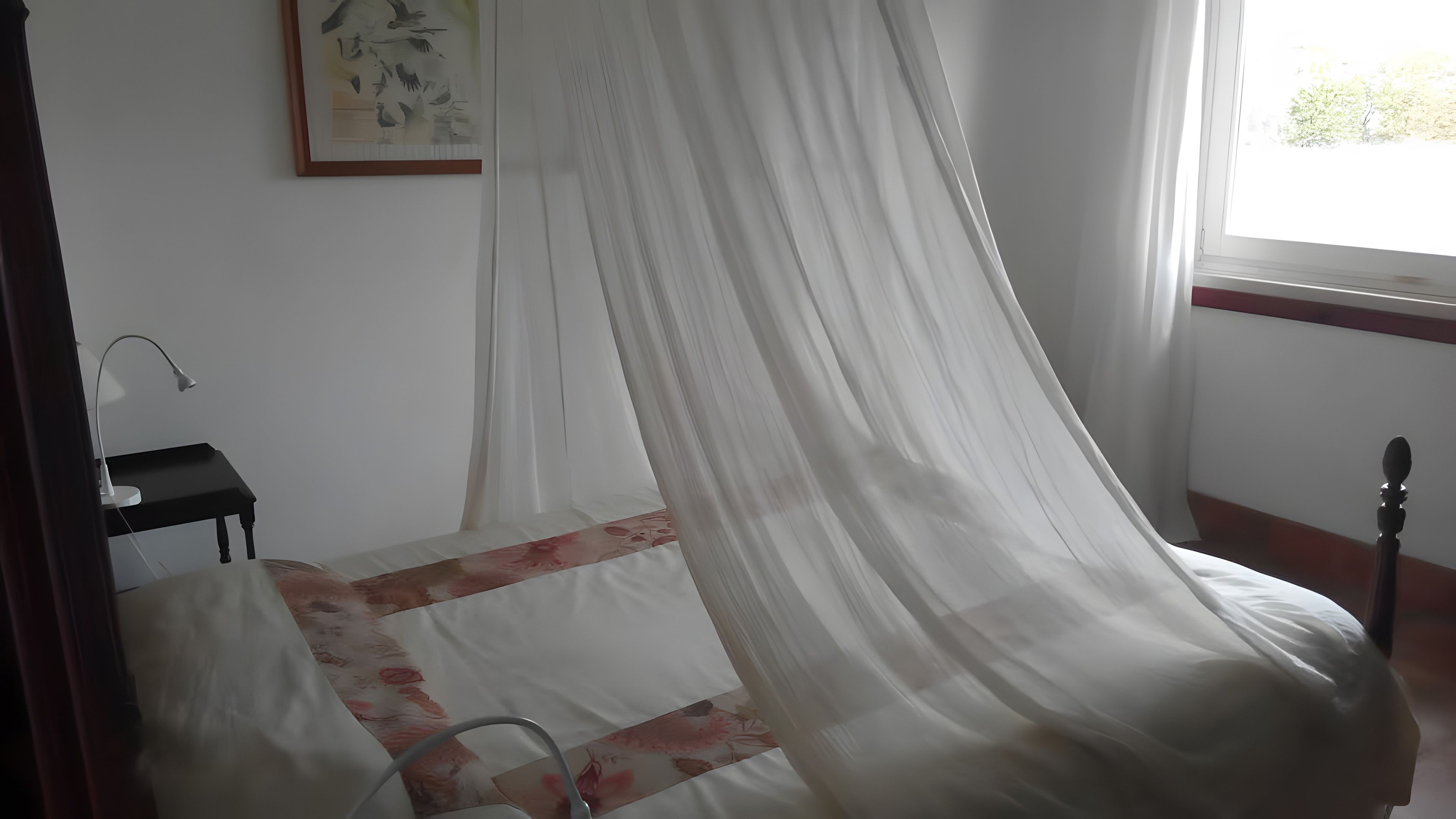 Ein Zimmer mit einem Bett, das mit einem transparenten weißen Moscheevorhang verziert ist, einem kleinen Nachttisch mit Lampe und einem gerahmten Kunstwerk an der Wand.