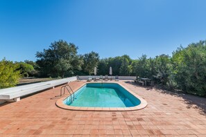En rektangulär swimmingpool med en kakelbeklädd poolkant, omgiven av träd och en klarblå himmel.