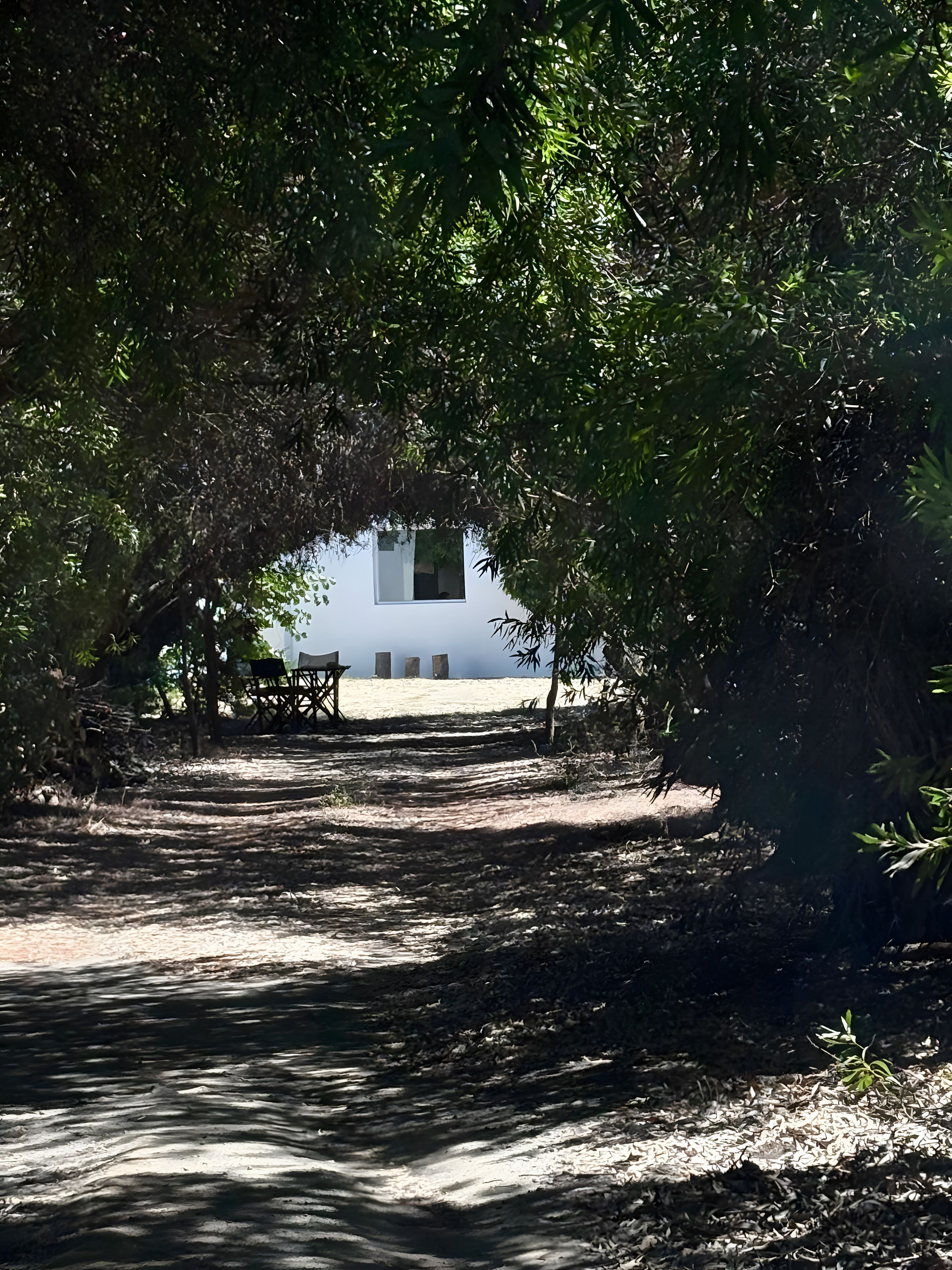 Un chemin menant à un bâtiment à l’extérieur blanc, entouré d’une végétation luxuriante.