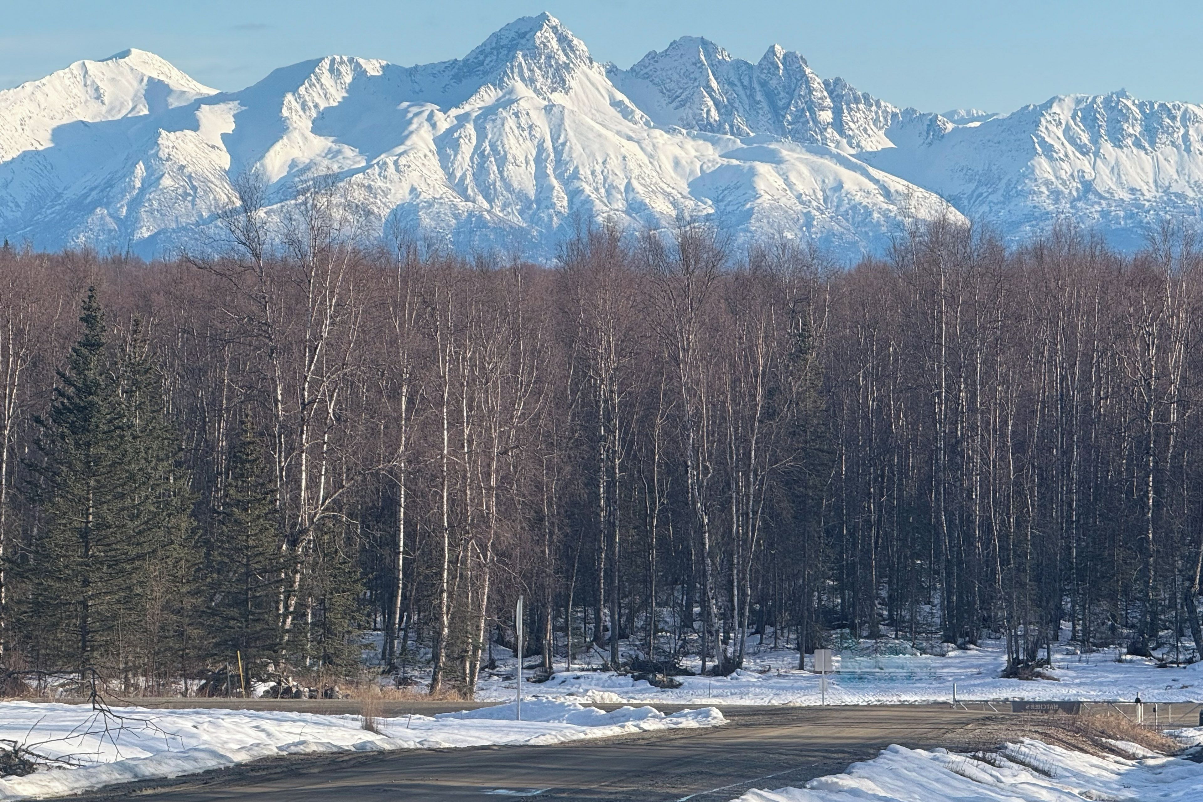 A snowy landscape with a forest and a mountain range in the background.
