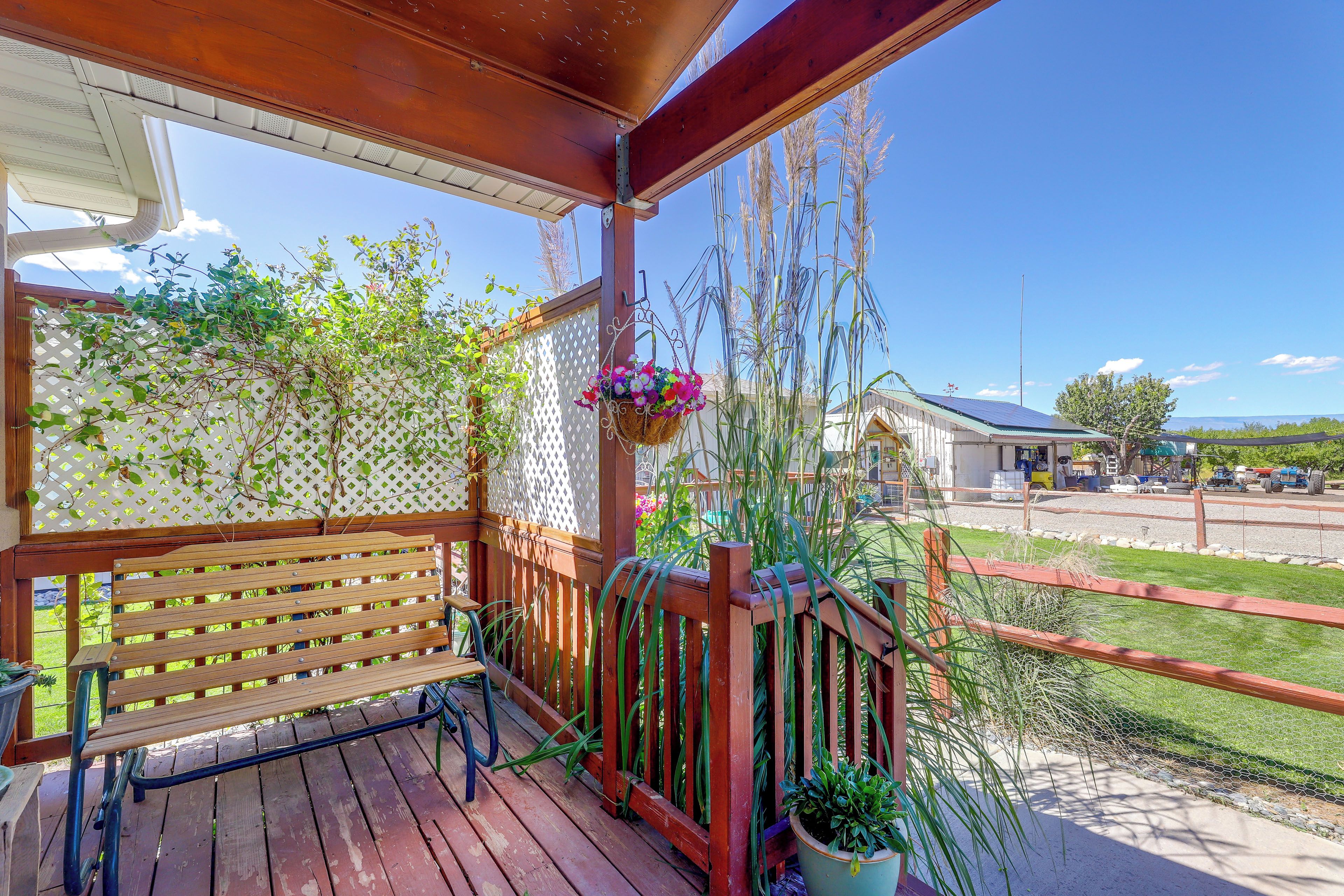 A wooden deck with a bench, a lattice fence, and hanging plants.