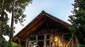 Un chalet rustique en rondins de bois, doté d’un balcon, entouré d’une végétation luxuriante et de plantes en fleurs.