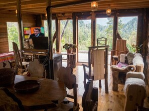 A rustic interior with wooden furniture, a television, and large windows offering a forest view.