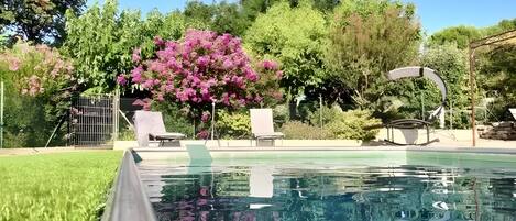Una piscina amb gandules, una zona de seients coberta i vegetació exuberant al fons.