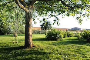 A tree with a swing, a grassy field, and a building in the background.