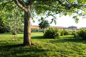 A tree with a swing, a grassy field, and a building in the background.