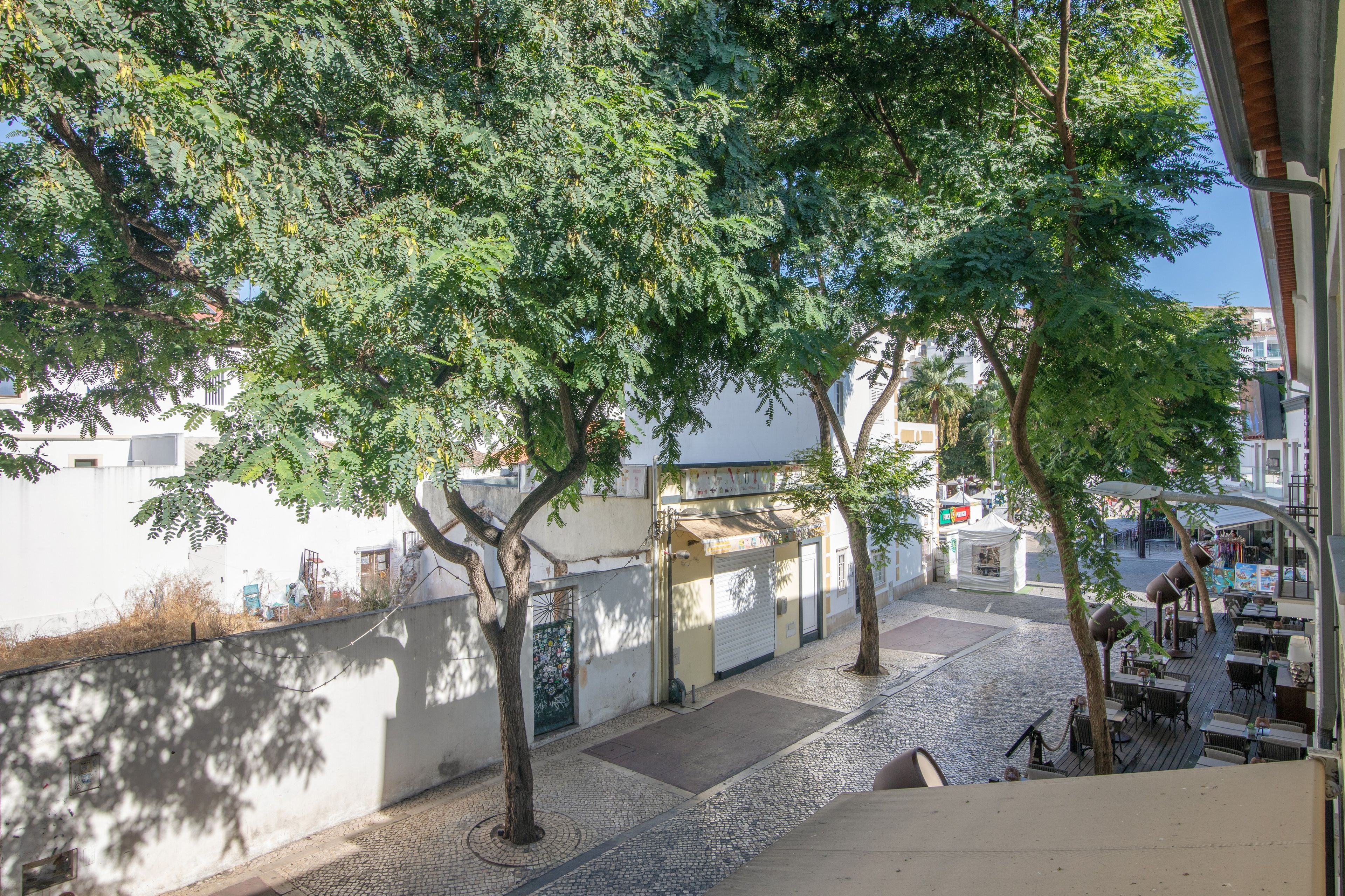 A courtyard with trees, a cobblestone path, and buildings in the background.