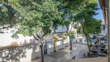A courtyard with trees, a cobblestone path, and buildings in the background.