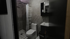 Family Room | Bathroom - Casa Teresa  (Zapopan)