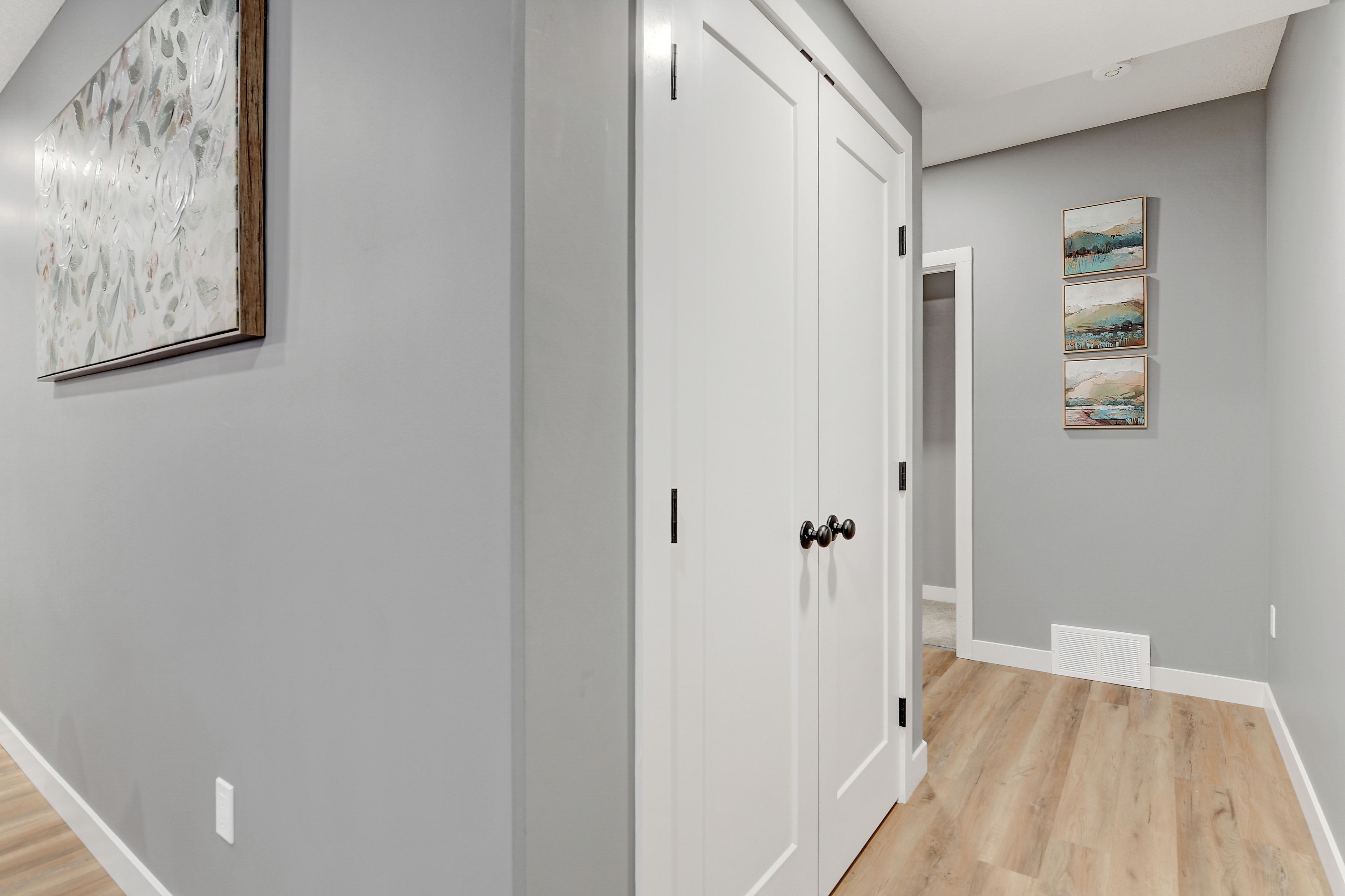 A hallway with a white door, a painting on the wall, and a light switch.