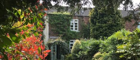A garden with a lawn, various plants, and a brick building with a window.
