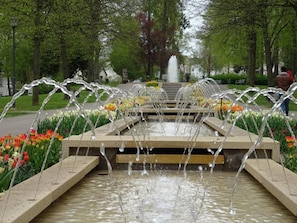 A fountain with water jets in a park with trees and flowers. - Rosa Taunus Apartment (Bad Camberg)