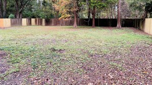 An outdoor area with a wooden fence, trees, and a grassy ground. - Moss Side Cottage | 2BR • Huge Yard • Dogs Welcome (Baton Rouge)